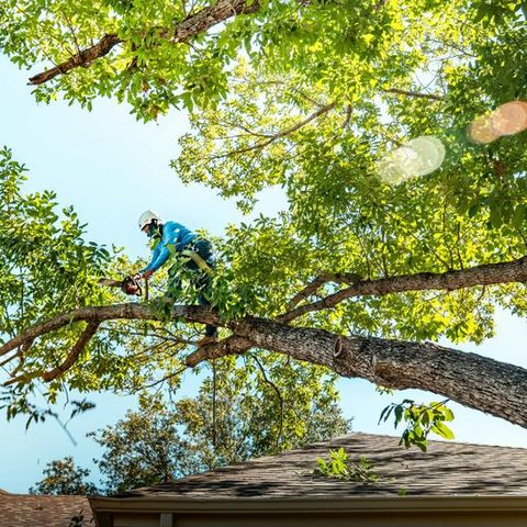 Climber out on a long limb above a roof
