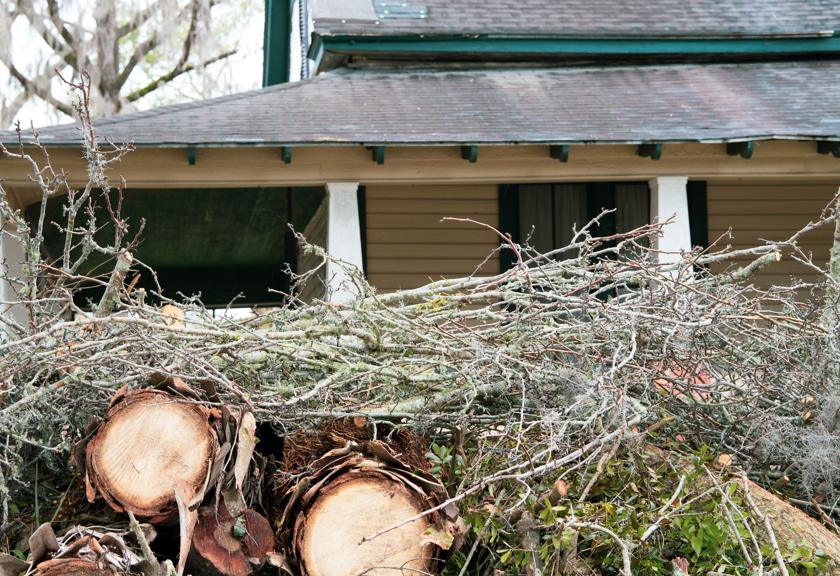 Cut logs and brush piled in front of a house