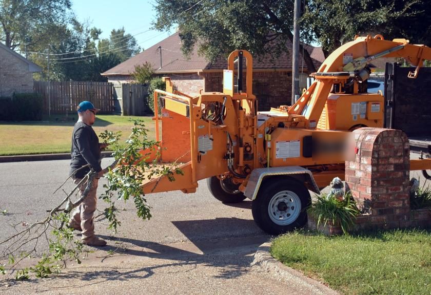 Branches going into a wood chipper at the curb